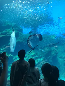 仙台うみの杜水族館に投稿された画像（2023/7/16）