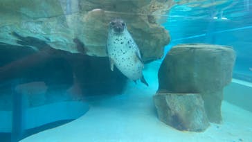 城崎マリンワールドに投稿された画像（2023/7/17）