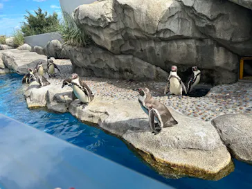 仙台うみの杜水族館に投稿された画像（2023/7/17）