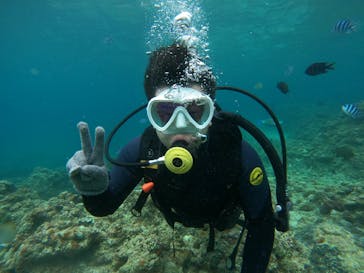 沖縄マリンサービス碧に投稿された画像（2023/7/17）