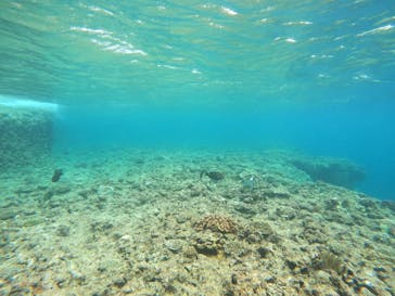 沖縄マリンサービス碧に投稿された画像（2023/7/17）