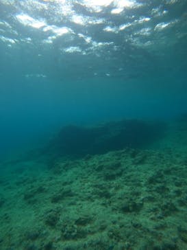 沖縄マリンサービス碧に投稿された画像（2023/7/17）