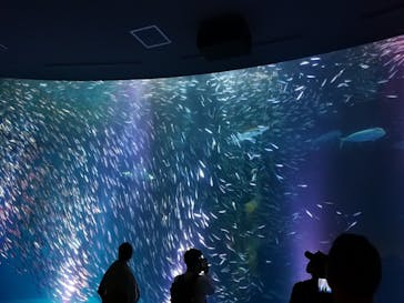 名古屋港水族館に投稿された画像（2023/7/17）