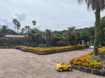 ニューヨークランプミュージアム＆フラワーガーデンに投稿された画像（2023/7/17）