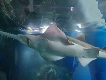 マクセル アクアパーク品川に投稿された画像（2023/7/17）