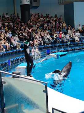 マクセル アクアパーク品川に投稿された画像（2023/7/17）