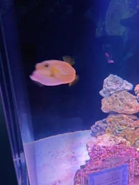 マクセル アクアパーク品川に投稿された画像（2023/7/17）