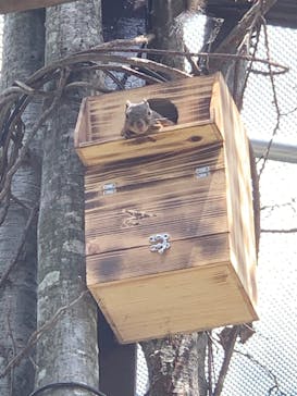 那須どうぶつ王国に投稿された画像（2023/7/17）