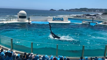 鴨川シーワールドに投稿された画像（2023/7/17）