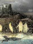名古屋港水族館に投稿された画像（2023/7/17）