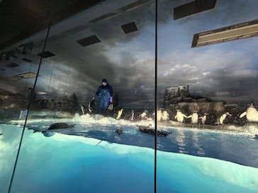 名古屋港水族館に投稿された画像（2023/7/17）