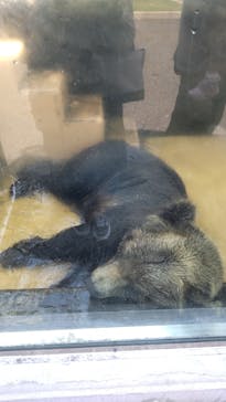 東武動物公園に投稿された画像（2023/7/17）