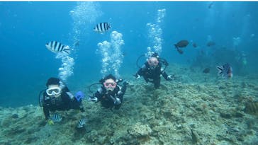 青の洞窟専門店　沖縄ダイビングショップ和に投稿された画像（2023/7/17）