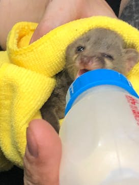 アニPONワールドに投稿された画像（2023/7/17）