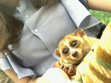 アニPONワールドに投稿された画像（2023/7/17）