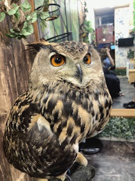 アニPONワールドに投稿された画像（2023/7/17）