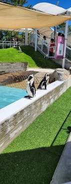 マリンワールド海の中道に投稿された画像（2023/7/17）