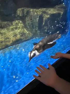 マクセル アクアパーク品川に投稿された画像（2023/7/17）