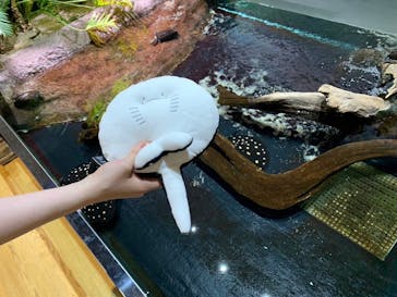 神戸みなと温泉 蓮に投稿された画像（2023/7/17）