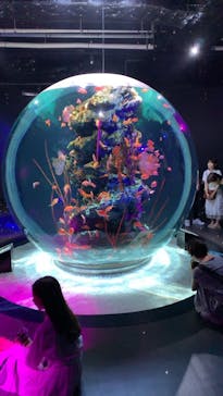 神戸みなと温泉 蓮に投稿された画像（2023/7/17）