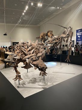 大阪市立自然史博物館に投稿された画像（2023/7/17）