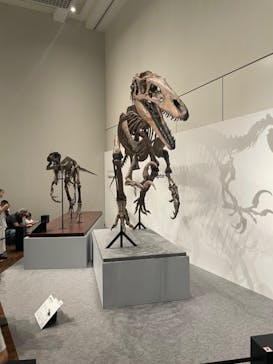 大阪市立自然史博物館に投稿された画像（2023/7/17）