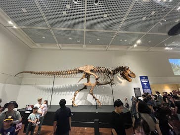 大阪市立自然史博物館に投稿された画像（2023/7/17）