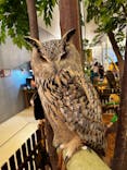 Moff animal cafe イオンモール幕張新都心店に投稿された画像（2023/7/17）