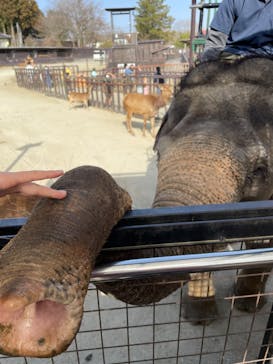 那須サファリパークに投稿された画像（2023/7/17）