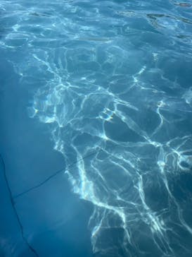 東武動物公園に投稿された画像（2023/7/17）