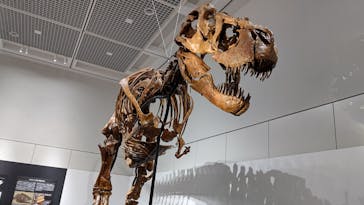 大阪市立自然史博物館に投稿された画像（2023/7/17）