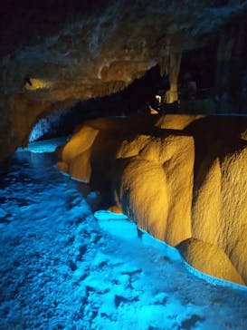 おきなわワールドに投稿された画像（2023/7/17）