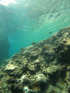 沖縄マリンサービス碧に投稿された画像（2023/7/17）