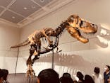 大阪市立自然史博物館に投稿された画像（2023/7/17）