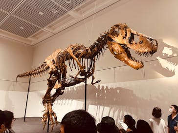 大阪市立自然史博物館に投稿された画像（2023/7/17）