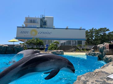 鴨川シーワールドに投稿された画像（2023/7/17）