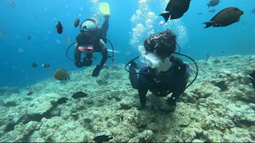 武藤潜水に投稿された画像（2023/7/17）