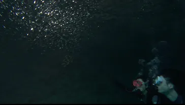 武藤潜水に投稿された画像（2023/7/17）