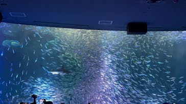 名古屋港水族館に投稿された画像（2023/7/17）