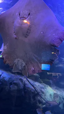 マクセル アクアパーク品川に投稿された画像（2023/7/17）