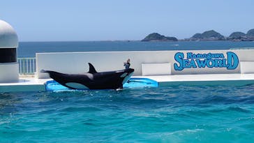 鴨川シーワールドに投稿された画像（2023/7/17）