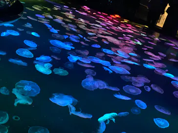 すみだ水族館に投稿された画像（2023/7/17）