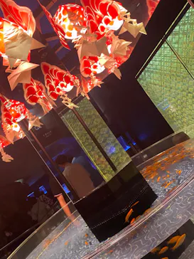 すみだ水族館に投稿された画像（2023/7/17）