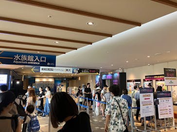 サンシャイン水族館に投稿された画像（2023/7/17）