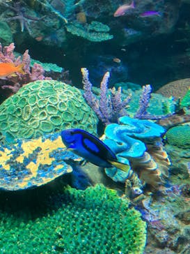 サンシャイン水族館に投稿された画像（2023/7/17）