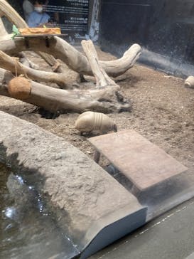 カワスイ 川崎⽔族館に投稿された画像（2023/7/17）