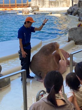 城崎マリンワールドに投稿された画像（2023/7/17）