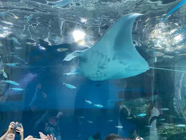 マクセル アクアパーク品川に投稿された画像（2023/7/17）