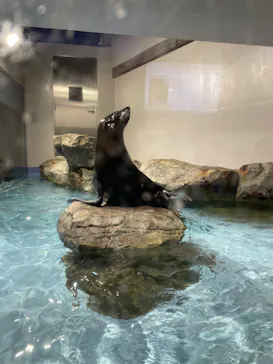 マクセル アクアパーク品川に投稿された画像（2023/7/17）