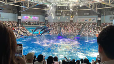 マクセル アクアパーク品川に投稿された画像（2023/7/17）